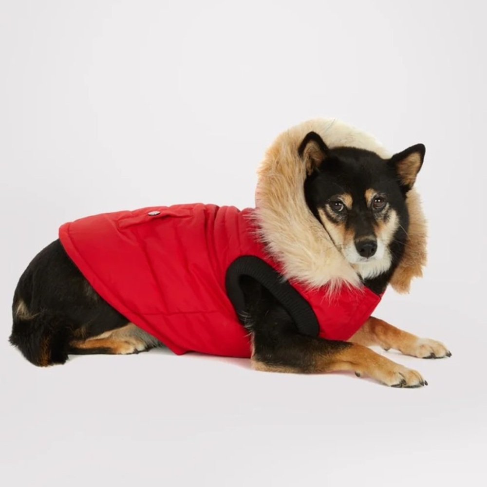 🐶🐾Pajar jacket 🐶 - Picture 3 of 5